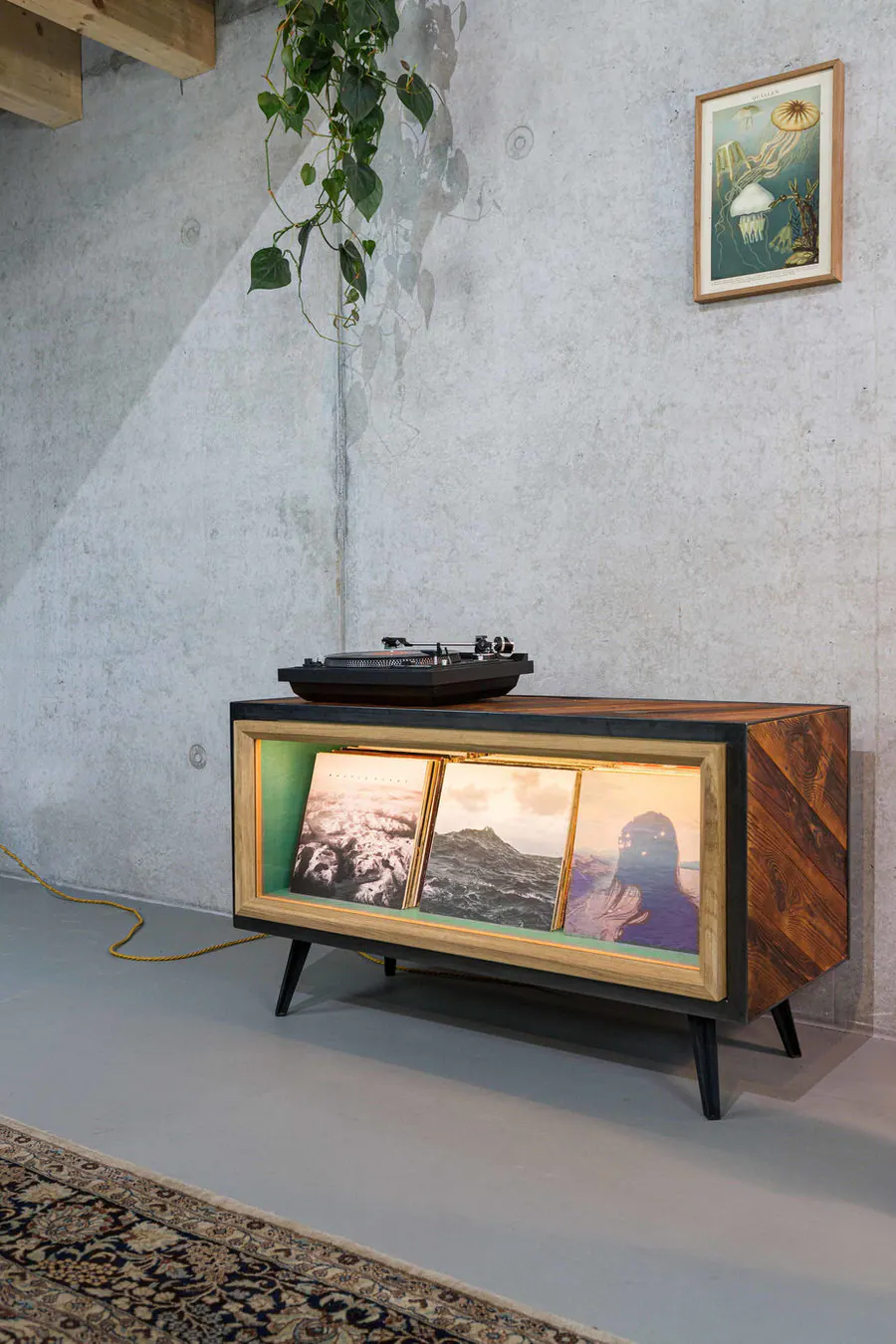 Berliner Vitrine — furniture project photograph 1 of 16