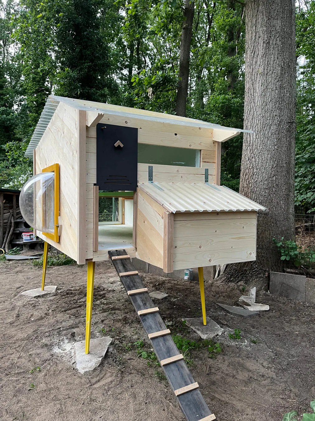 Chickentecture — functional art project photograph 4 of 12
