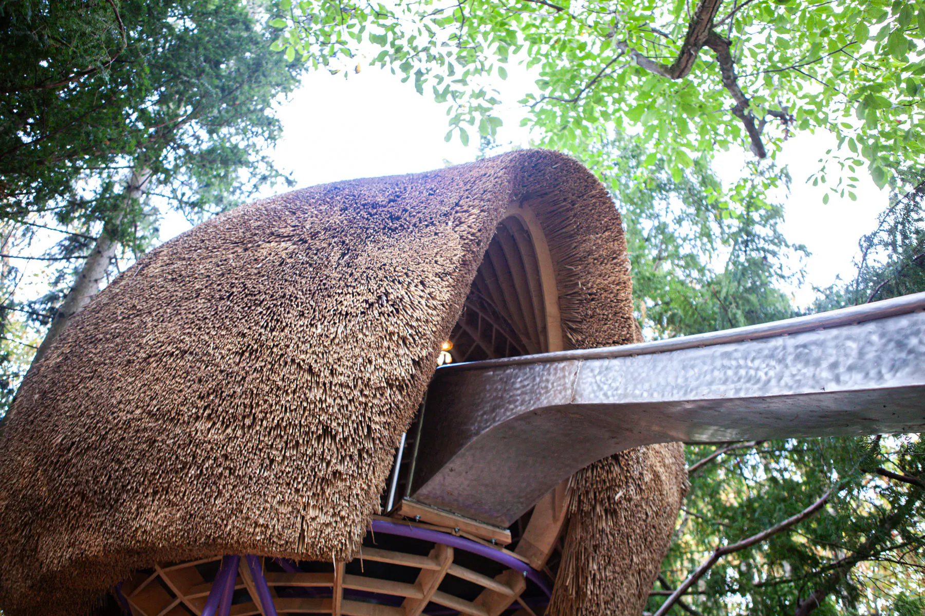 Knospe — functional art project photograph 3 of 25