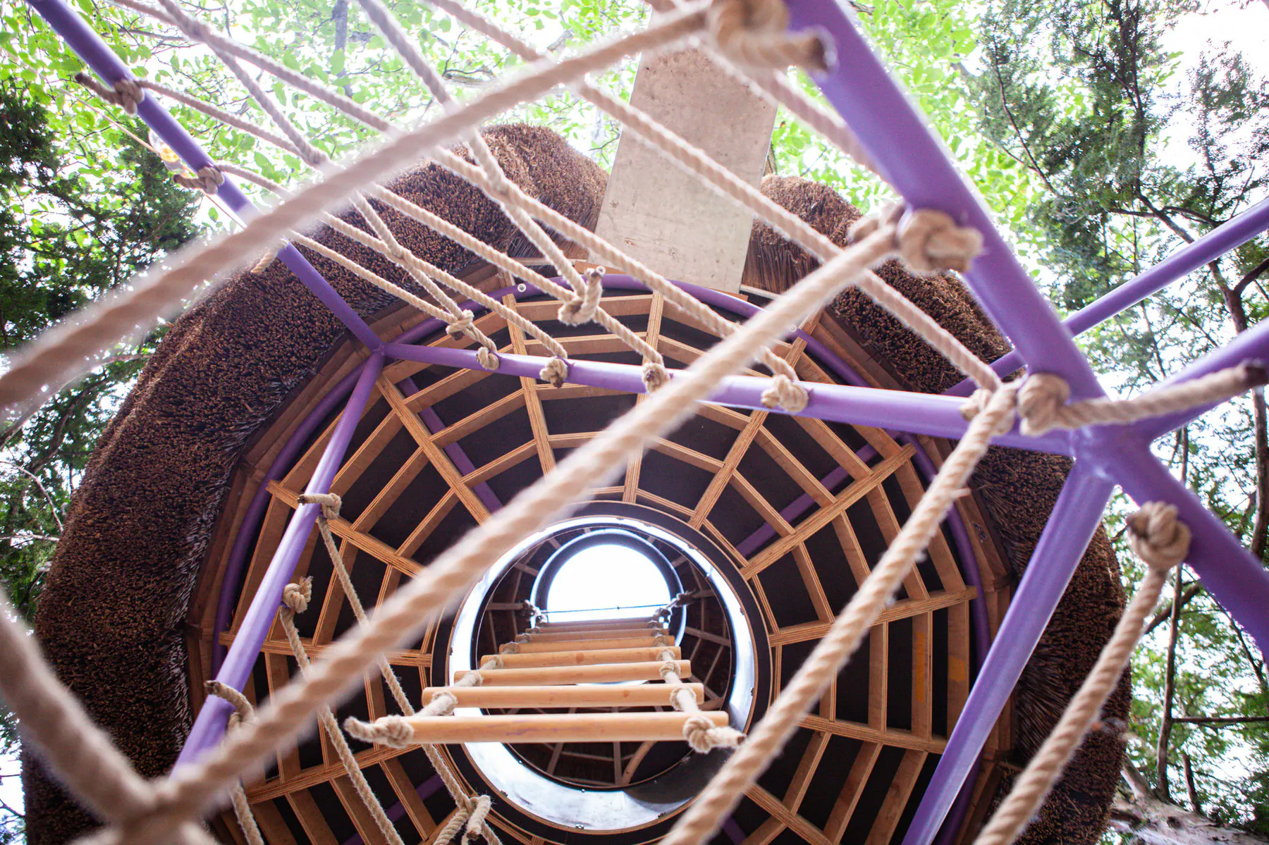 Knospe — functional art project photograph 5 of 25
