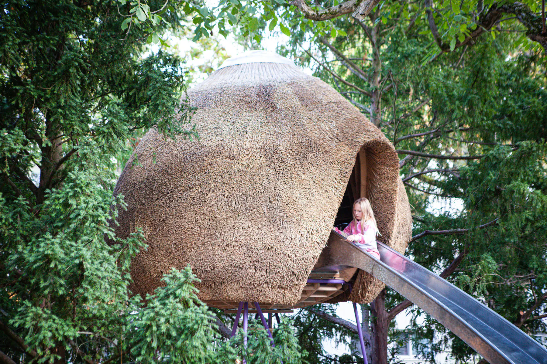 Knospe — functional art project photograph 11 of 25