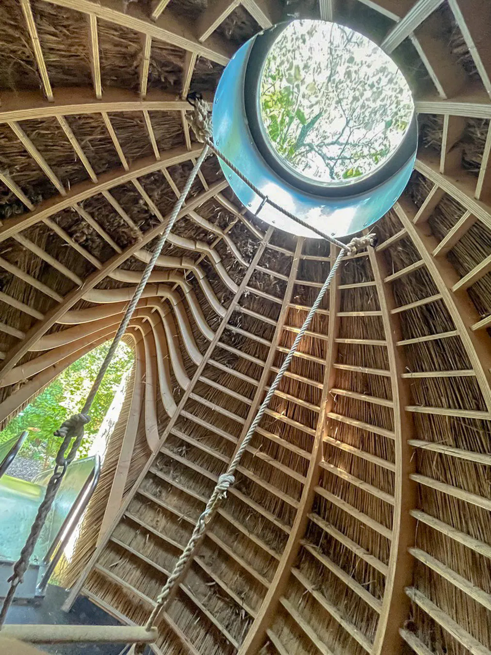 Knospe — functional art project photograph 16 of 25