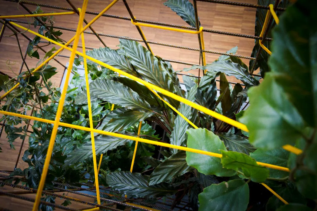 Mein Grundeinkommen — interior project photograph 14 of 20