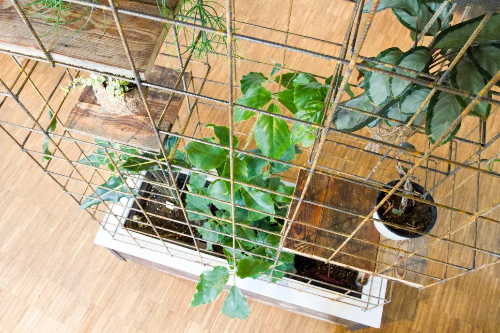 Mein Grundeinkommen — interior project photograph 20 of 20